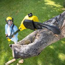 Center Point, TX Tree Care Services Company